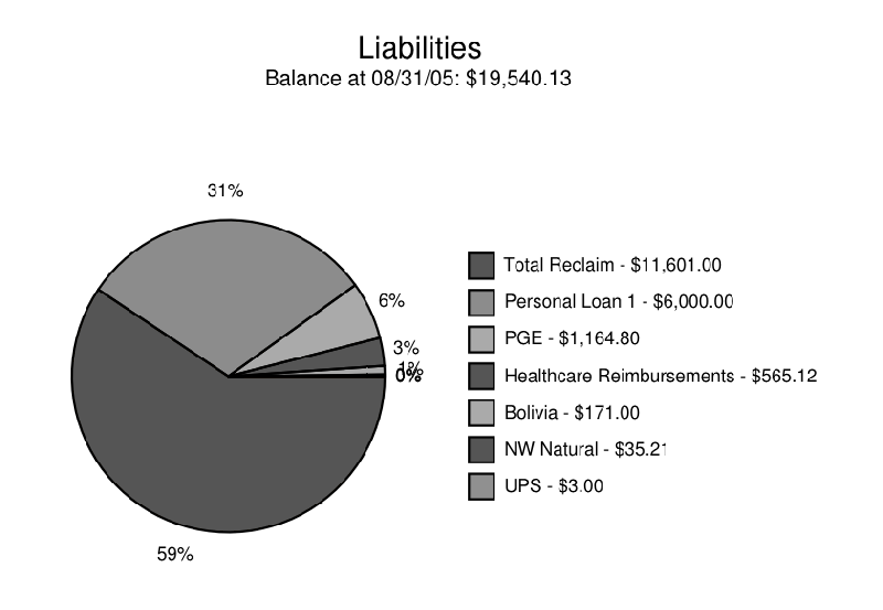File:Liabilities-pie-2005.png
